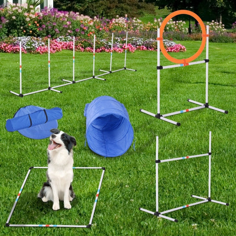 dog agility training set obstacle course